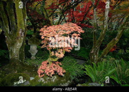 Jardin japonais dans les Jardins Butchart, île de Vancouver Banque D'Images