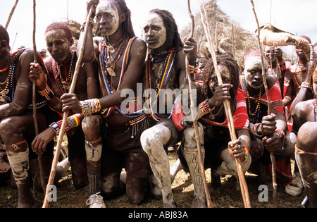 Lolgorian, au Kenya. Moran warriors avec le visage blanc et les jambes à l'Eunoto venant de l'âge de cérémonie. Banque D'Images