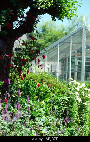 Aperçu de green house en jardin coloré Banque D'Images