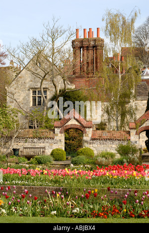 Jardins Southover Grange et Lewes. Vue sur le jardin avec des fleurs de printemps. Tulipes. Banque D'Images