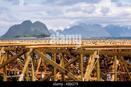 Crédit photo DOUG BLANE Norvège Lofoten Banque D'Images