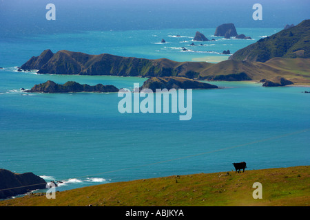 La French Pass, une vue sur Marlborough Sounds, île du sud Nouvelle-zélande Banque D'Images