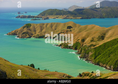 La French Pass, une vue sur Marlborough Sounds, île du sud Nouvelle-zélande Banque D'Images