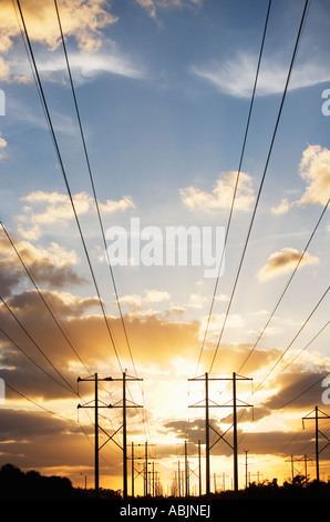 Poteaux et câbles électriques au coucher du soleil Banque D'Images