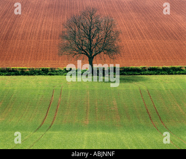 Go - GLOUCESTERSHIRE : l'automne dans les Cotswolds Banque D'Images