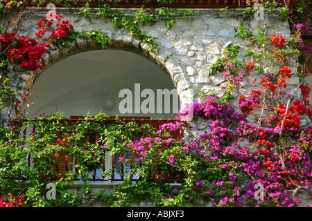 Terrasse couverte de bougainvilliers colorés différents Positano Italie Banque D'Images