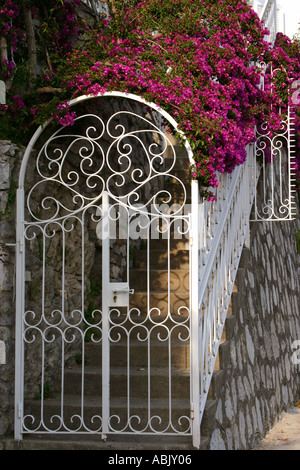 Porte du jardin de bougainvilliers dans Positano Amalfi Coast Italie Banque D'Images