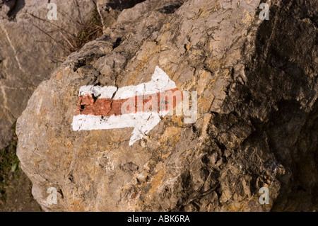 Flèche rouge blanche peinte sur le panneau de la piste touristique polonaise dans les montagnes, marquant un sentier de randonnée. Banque D'Images
