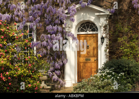 Wisteria Sinensis poussant sur le mur d'une maison Banque D'Images