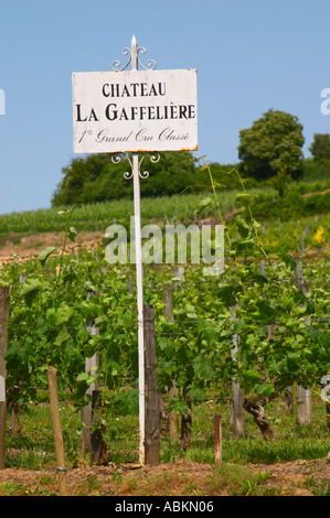 Un panneau blanc dans le vignoble disant Château La Gaffeliere 1er premier grand cru classe Saint Emilion Bordeaux Gironde Aquitaine Banque D'Images