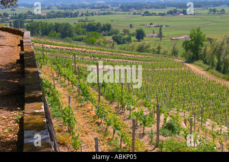 Vue sur les vignobles en terrasses qui sont ce qui est très inhabituel à Bordeaux Château de Pressac St Etienne de Lisse Saint Emilion Bordeaux Gironde Aquitaine France Banque D'Images