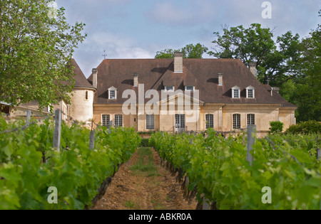 Le château vu à travers le vignoble Château Bouscaut Cru Classe Cadaujac Graves Pessac-Léognan Bordeaux Gironde Aquitaine France Banque D'Images