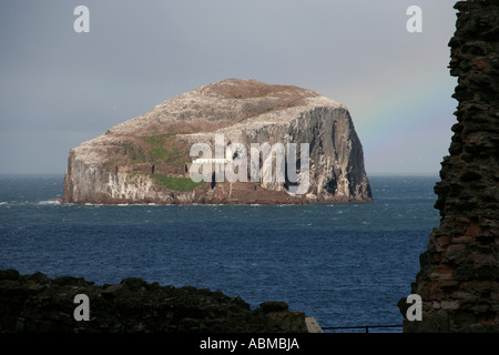 Bass Rock scottish island bird santuary Firth of Forth en Écosse Banque D'Images