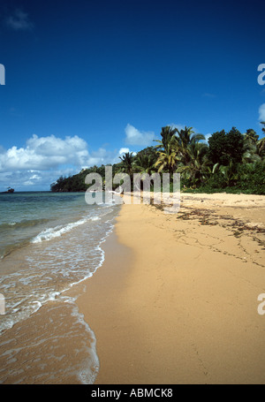 Les vagues des océans lap à plage déserte avec des palmiers contre un ciel bleu dans Kadavu Fidji Banque D'Images