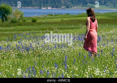 Femme se promenant dans une prairie de fleurs y compris le camas lily dans Valley Comté Ohio MR Banque D'Images