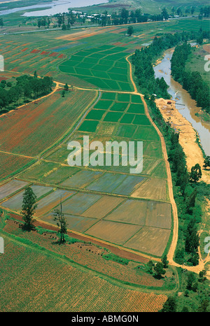 Vue aérienne de rizières et de la rivière au Swaziland Banque D'Images