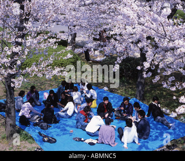 Les Japonais bénéficiant d'une partie d'affichage des cerisiers en fleur dans le parc du château d'Osaka Banque D'Images