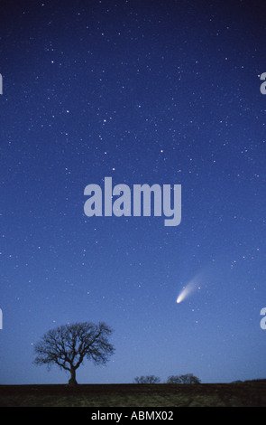 Comet Hale Bopp faible dans Northern Sky Northumberland UK Banque D'Images