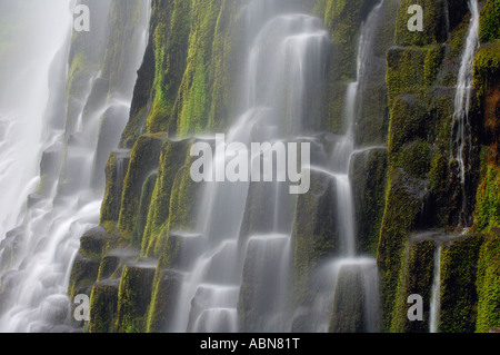 Chutes Proxy, trois Sœurs, Désert, forêt de Willamette, Oregon, USA Banque D'Images