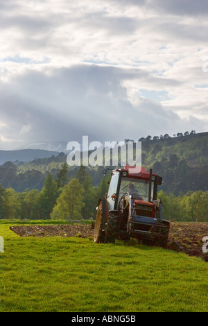 Howard Zetor Tractor Spring labour dans les champs de haute altitude à Inverey Braemar Aberdeenshire, Écosse, Royaume-Uni Banque D'Images