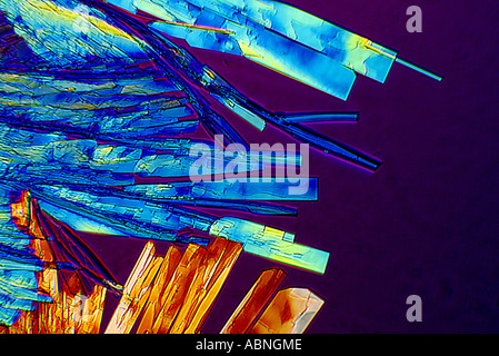 Cristaux cultivés de Coldrex formé sur microscope solution éthanolique de X100 Banque D'Images