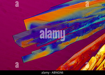 Cristaux cultivés de Coldrex formé sur microscope solution éthanolique de X100 Banque D'Images