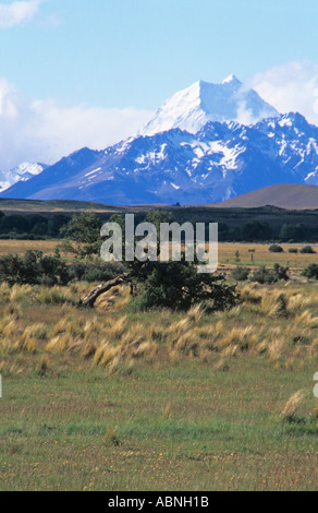 La plus haute montagne de Nouvelle-Zélande l'Aoraki Mount Cook ou nommé Banque D'Images