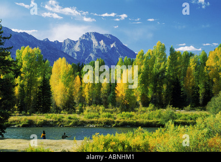 La pêche à la mouche sur la rivière Serpent ci-dessous Grand Tetons dans le Wyoming au milieu des couleurs de l'automne Banque D'Images