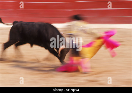 Corne de taureau matador venait à manquer au cours de corrida Banque D'Images