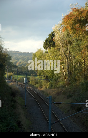 Les arbres d'automne le long d'un chemin de fer à voie unique Banque D'Images