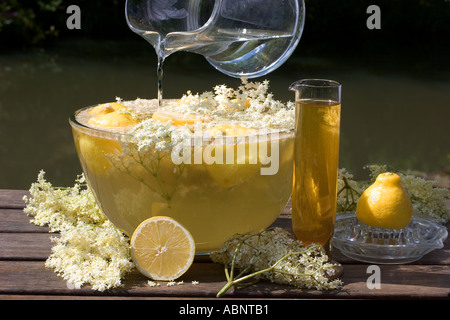 Ancien verre cordial fleur dans la fabrication de fleurs citron sucre et l'eau pour préparer Banque D'Images