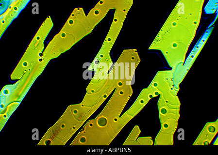 Cristaux cultivés de Coldrex formé sur microscope solution éthanolique de X100 Banque D'Images