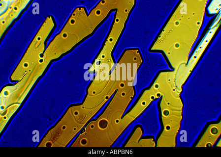 Cristaux cultivés de Coldrex formé sur microscope solution éthanolique de X100 Banque D'Images