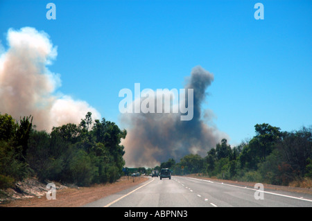 Des nuages de fumée à partir de l'été de forêt près de l'autoroute Banque D'Images
