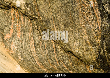 Roche métamorphique gneiss bagué, l'île de Harris, îles Hébrides, Ecosse, Royaume-Uni Banque D'Images