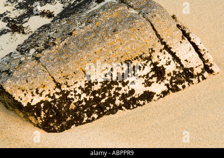 Rock avec le lichen sur l'île de Harris, îles Hébrides, Ecosse, Royaume-Uni Banque D'Images