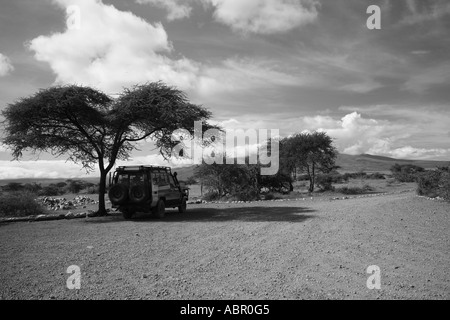 Jeep Safari sous l'ombre d'un arbre Accaia en Afrique en noir et blanc Banque D'Images