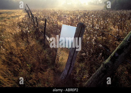 Campagne d'automne anglais brume matinale et araignées reflétée dans un miroir Kent UK Banque D'Images