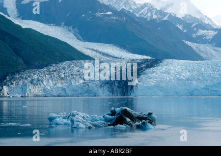 Rencontre la mer des glaciers dans le passage de l'Intérieur, de l'Alaska Banque D'Images