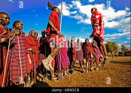 Guerrier massaï danse saut saut dans l'air de faire preuve de vigueur et d'agilité au Kenya Banque D'Images