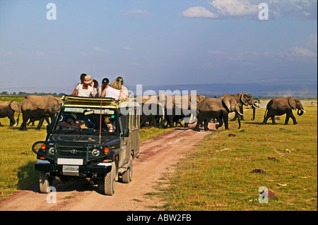 Visite touristique véhicule avec les éléphants du Parc National d'Amboseli au Kenya Banque D'Images