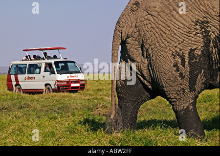 Visite touristique véhicule avec les éléphants du Parc National d'Amboseli au Kenya Banque D'Images