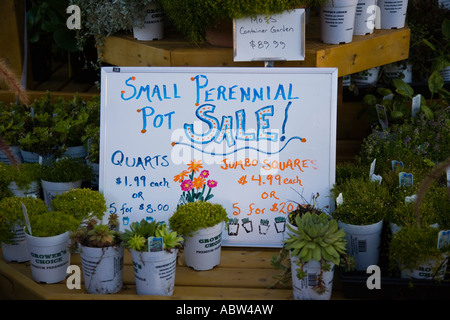 Pour la vente des plantes en pépinière Banque D'Images