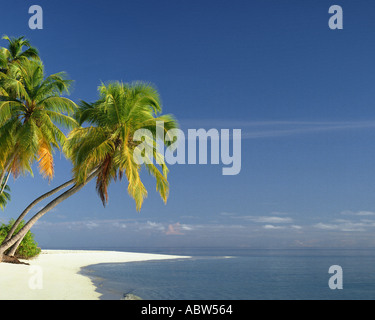 - MV Maldives : plage le long de l'Océan Indien Banque D'Images