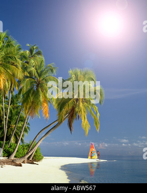 - MV Maldives : plage le long de l'Océan Indien Banque D'Images