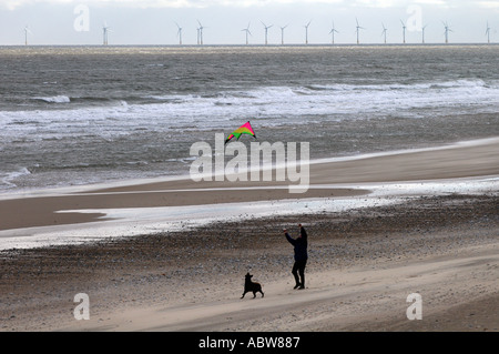 SCROBY SANDS PROJET ÉOLIEN AU LARGE DE LA CÔTE DE NORFOLK EAST ANGLIA ANGLETERRE 30 AÉROGÉNÉRATEURS chacun 60m de haut Banque D'Images