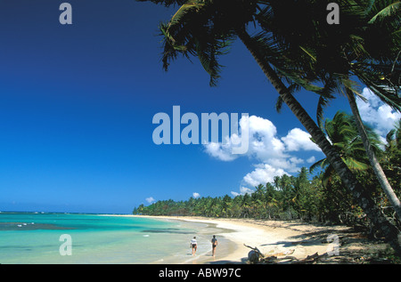 Tropical Beach couple en train de marcher dans le ciel bleu de surfline longue ligne de palmiers las Galeras Samana République Dominicaine province Banque D'Images