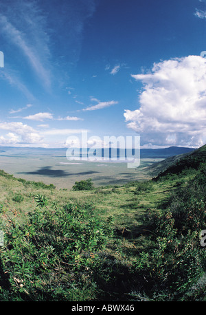 Ngorongoro Crater vu de la rive sud du cratère Banque D'Images