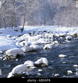 La neige a couvert la rivière Oirase Japon Aomori Banque D'Images