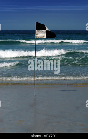 Drapeau à damiers surf, Sennen Cove, Cornwall, Angleterre Banque D'Images